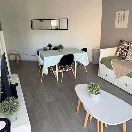 Ocean - Joli Appt Avec Terrasse -t2 300m