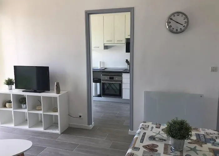 Ocean - Joli Appt Avec Terrasse -t2 300m Apartament