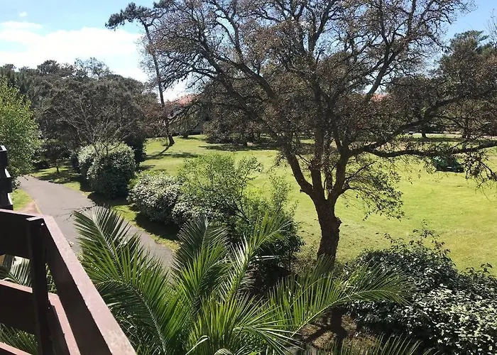 Ocean - Joli Appt Avec Terrasse -t2 300m *