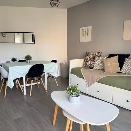 Ocean - Joli Appt Avec Terrasse -t2 300m