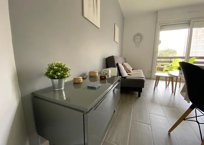 Lejlighed Ocean - Joli Appt Avec Terrasse -t2 300m