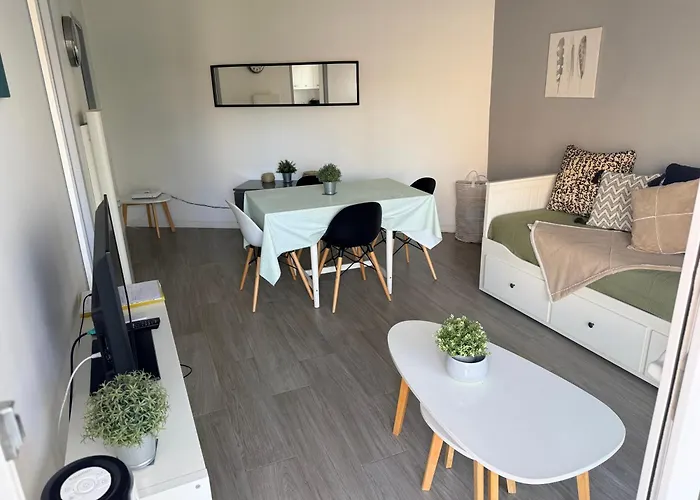 Ocean - Joli Appt Avec Terrasse -t2 300m