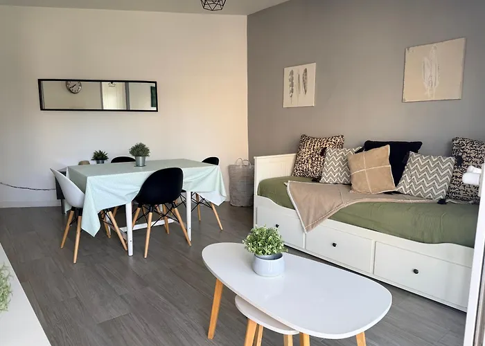 Ocean - Joli Appt Avec Terrasse -t2 300m